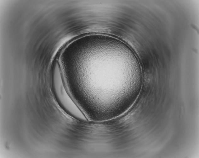 X0000096471123200802071850