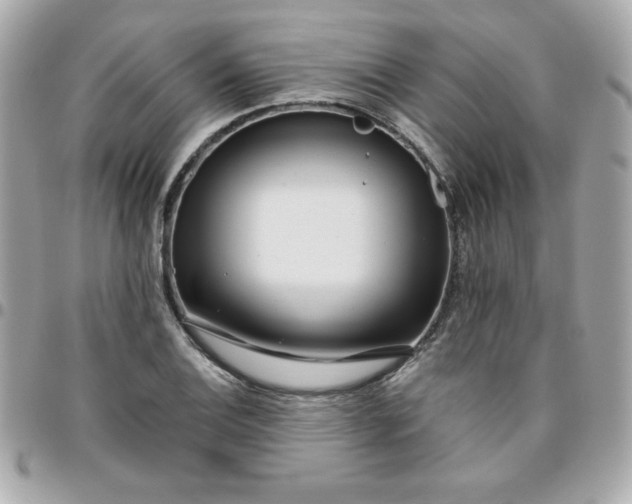 X0000096471124200802071851