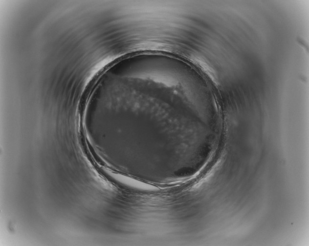 X0000096471125200802071851