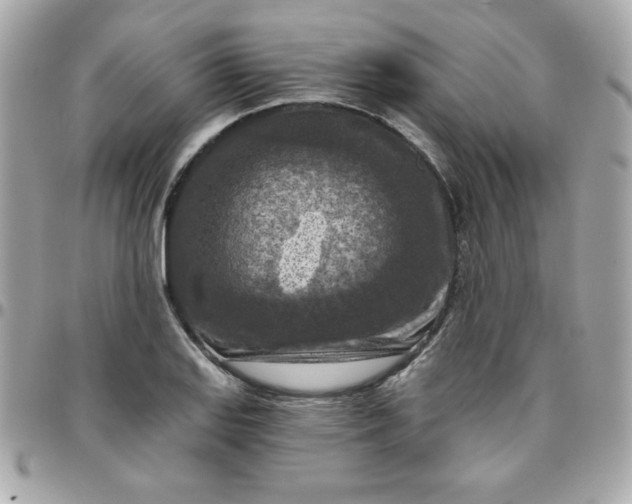 X0000096471127200802071851