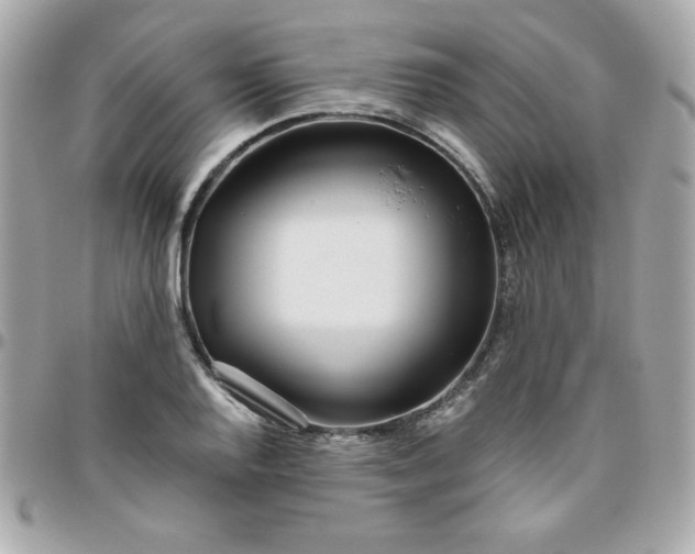 X0000096471128200802071851