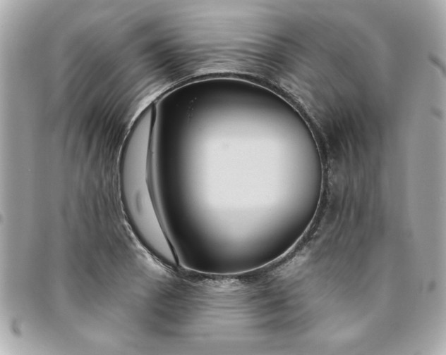 X0000096471129200802071851