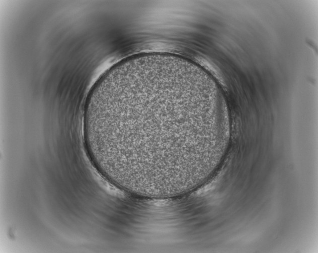 X0000096471130200802071851