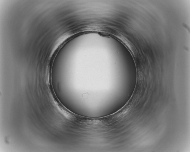 X0000096471131200802071851