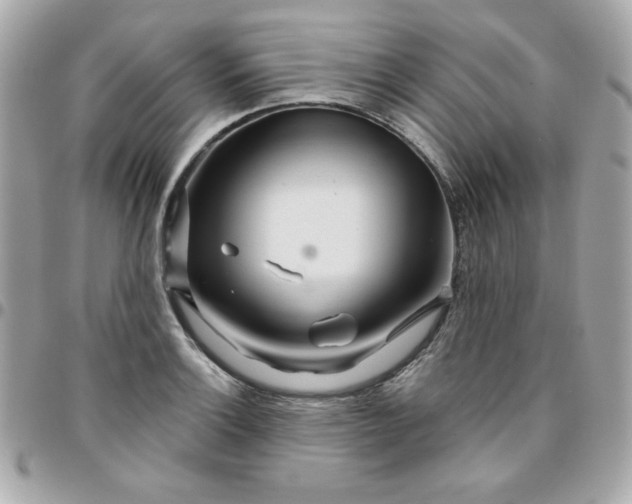 X0000096471132200802071851