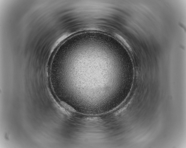 X0000096471133200802071851