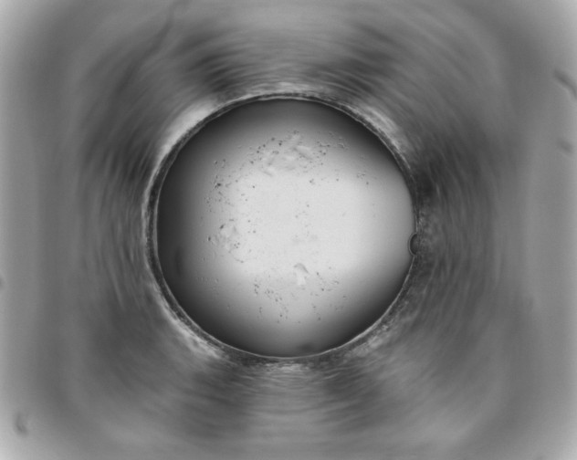 X0000096471135200802071851