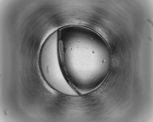 X0000096471136200802071851