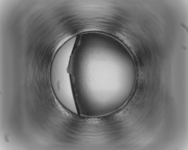 X0000096471137200802071851