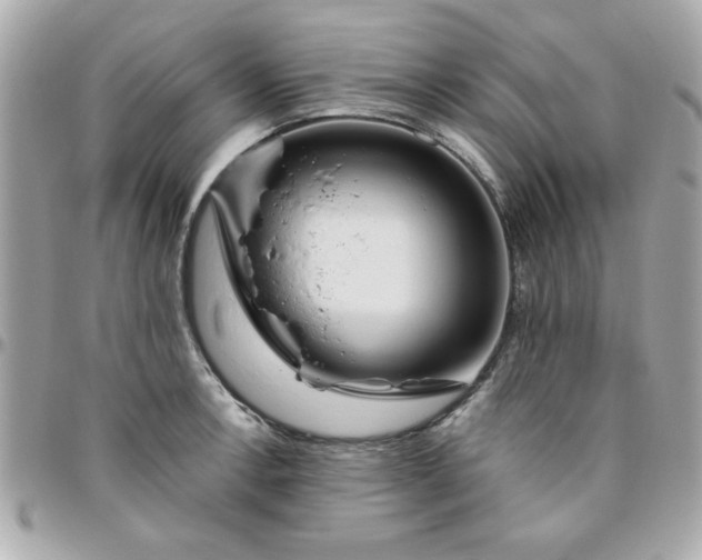 X0000096471138200802071851