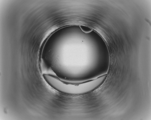 X0000096471139200802071851