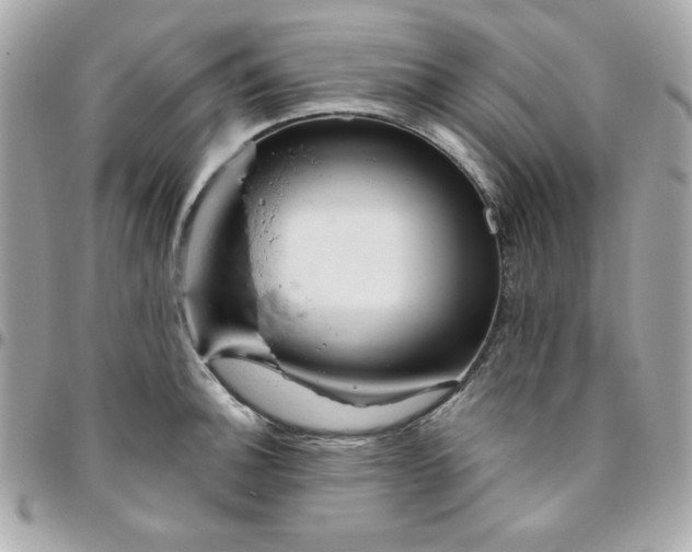 X0000096471140200802071851