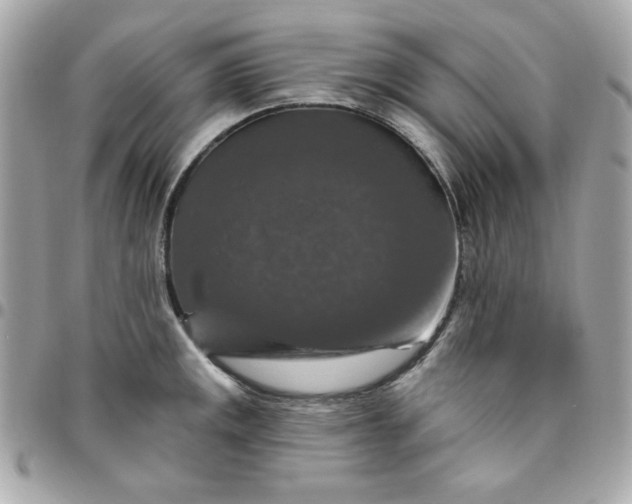 X0000096471141200802071851