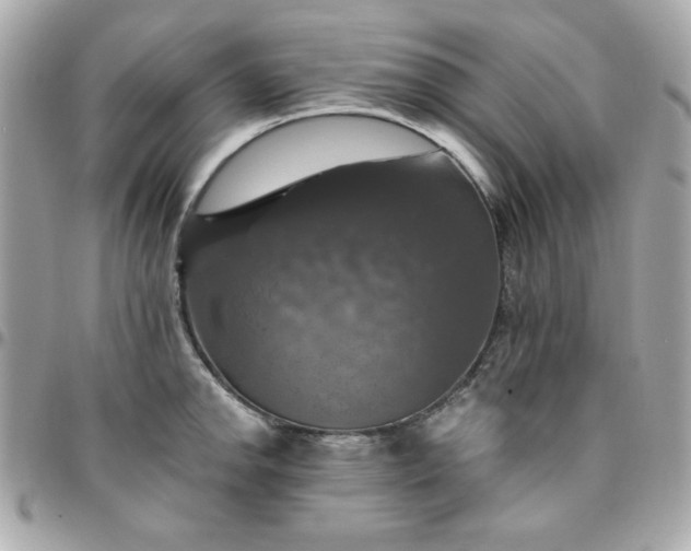 X0000096471142200802071851