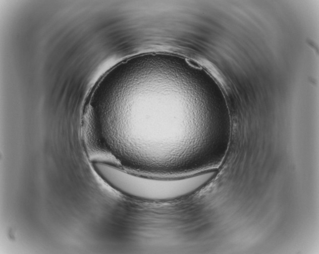 X0000096471143200802071851