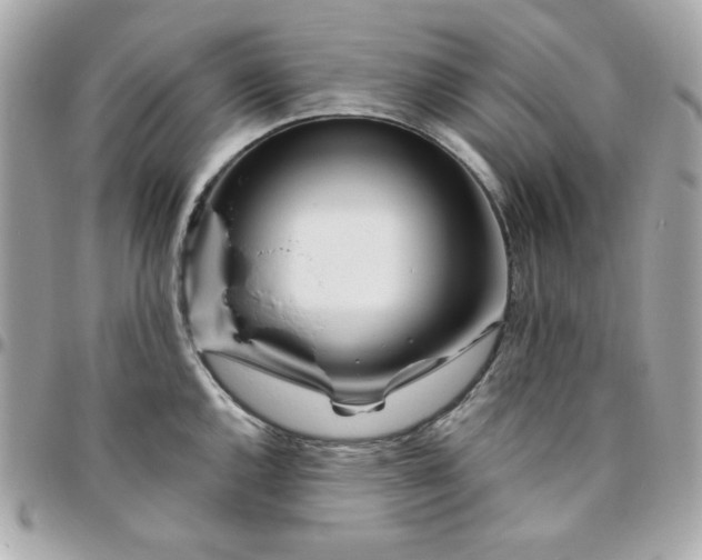 X0000096471144200802071851