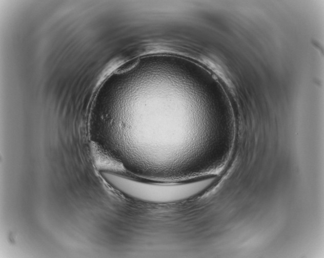 X0000096471145200802071851