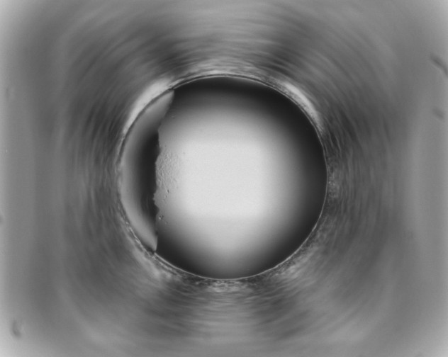 X0000096471146200802071851