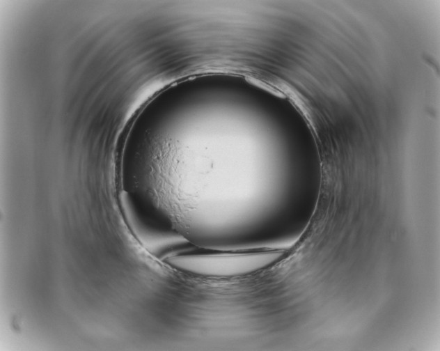 X0000096471147200802071851