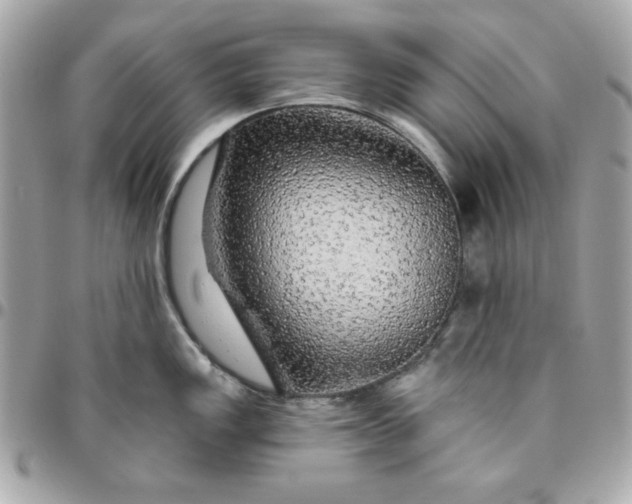 X0000096471149200802071851