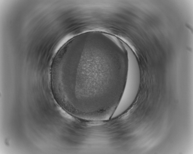 X0000096471151200802071851