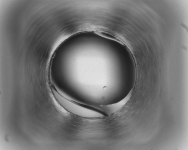 X0000096471152200802071851