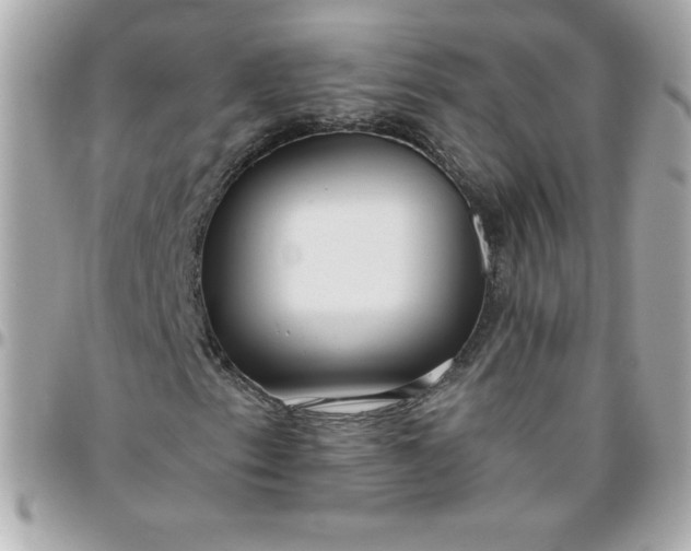 X0000096471153200802071850