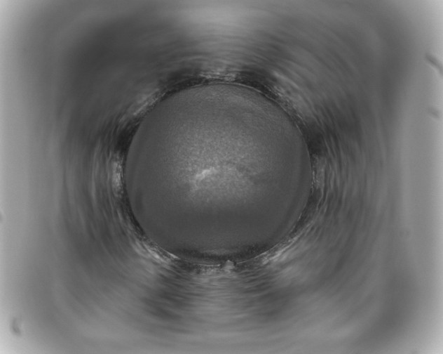 X0000096471154200802071850