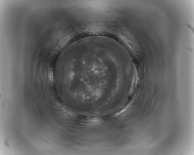 X0000096471155200802071850