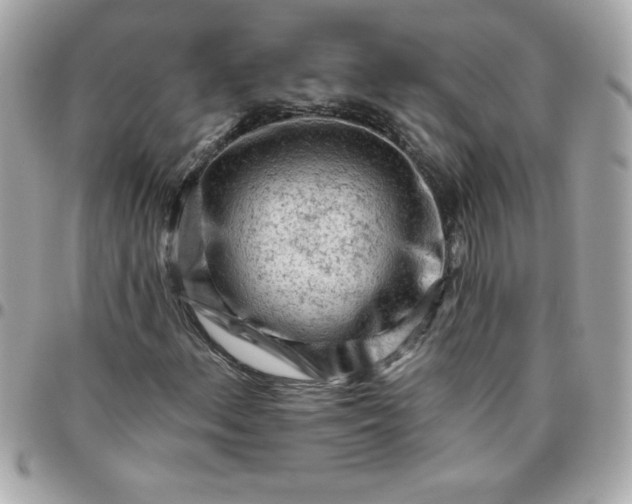 X0000096471156200802071850