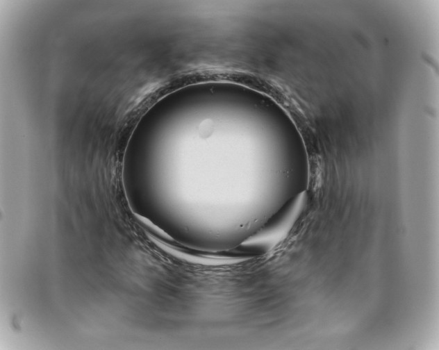 X0000096471157200802071850