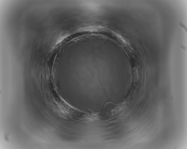 X0000096471158200802071850