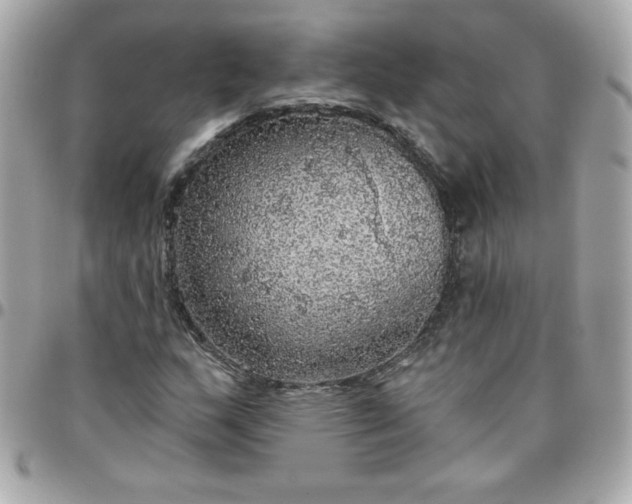 X0000096471159200802071850