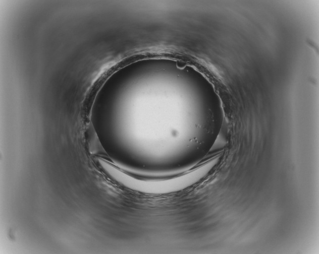 X0000096471160200802071850