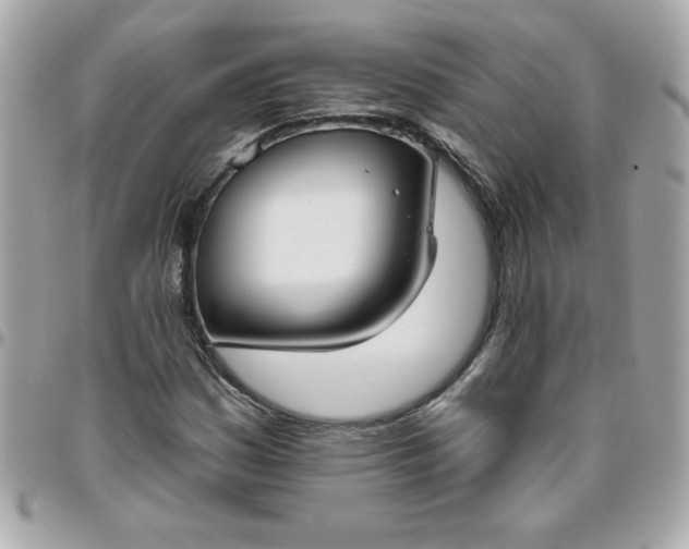 X0000096471161200802071850