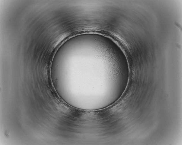 X0000096471162200802071850