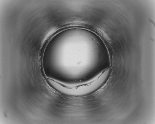 X0000096471164200802071850