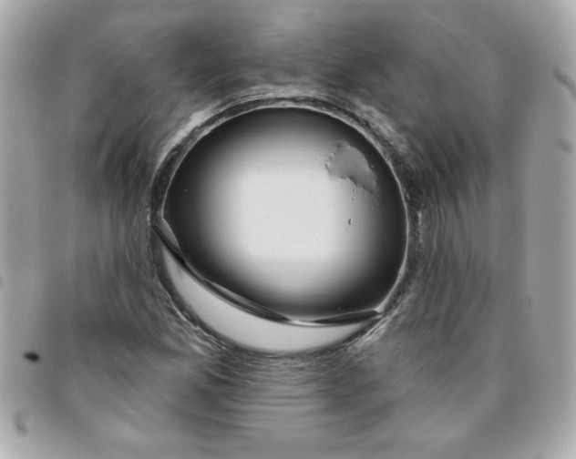 X0000096471165200802071850