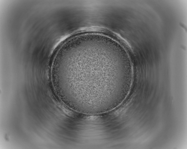 X0000096471166200802071850