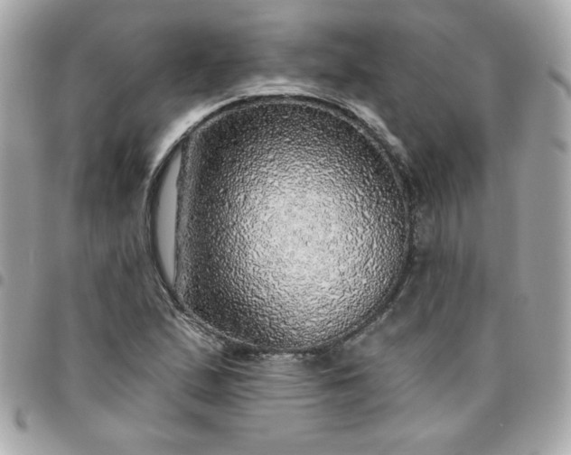 X0000096471167200802071850