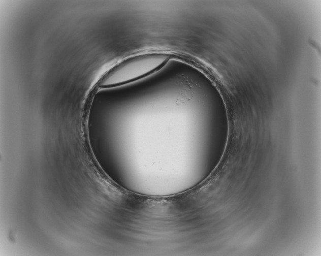 X0000096471168200802071850