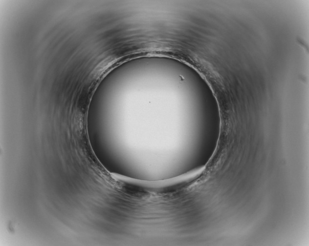 X0000096471169200802071850