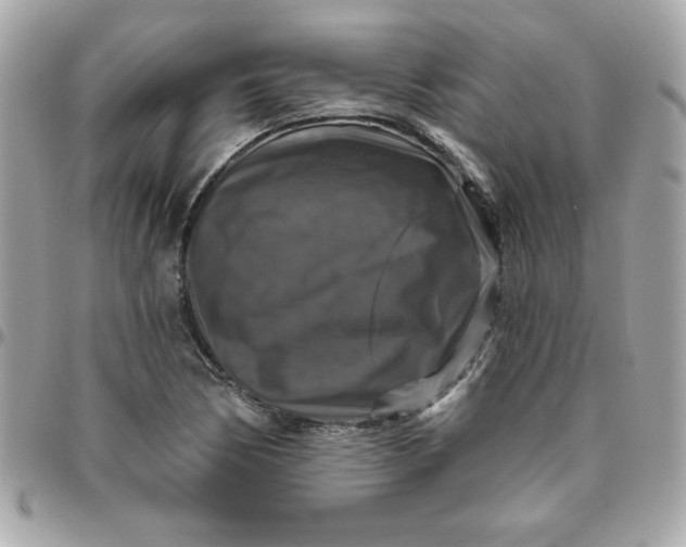 X0000096471170200802071850