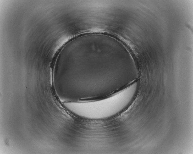 X0000096471171200802071850