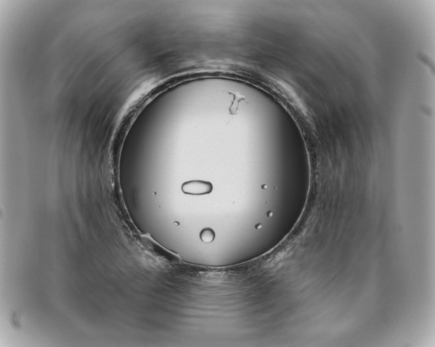 X0000096471172200802071850