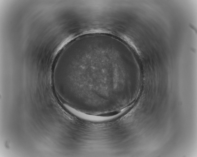 X0000096471173200802071850