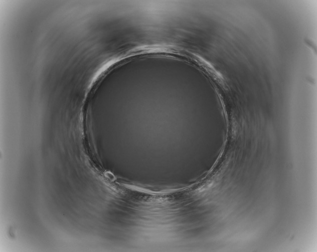 X0000096471174200802071850