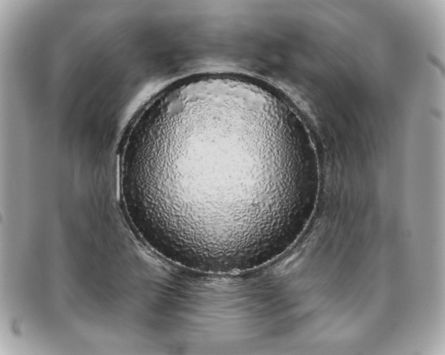 X0000096471175200802071850