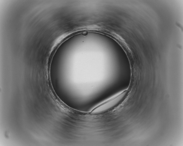 X0000096471176200802071850