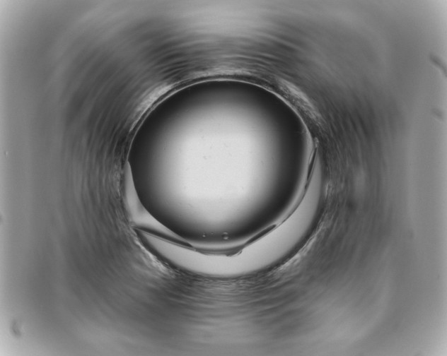 X0000096471177200802071850